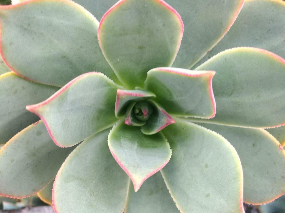 Finca La Tabaiba Maguez ภายนอก รูปภาพ
